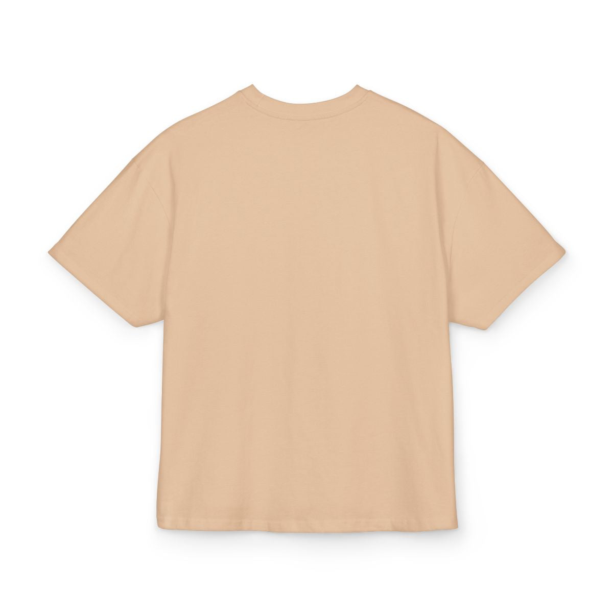 Beige "S&N Bluds"  DropShoulder T-Shirt